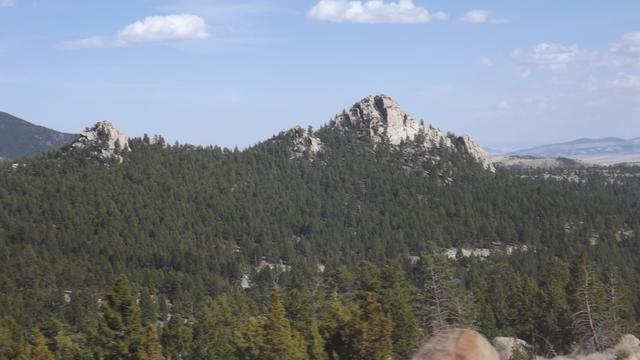 181.JPG