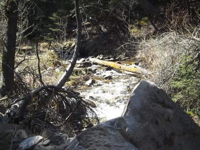 DSCF0328.JPG