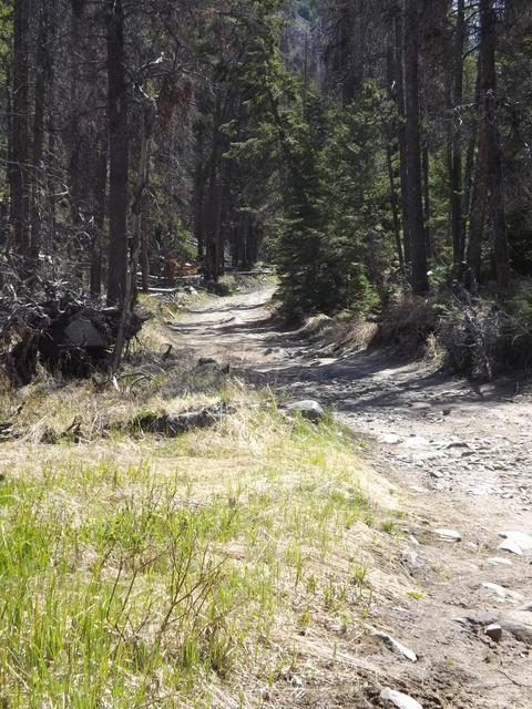 DSCF0329.JPG