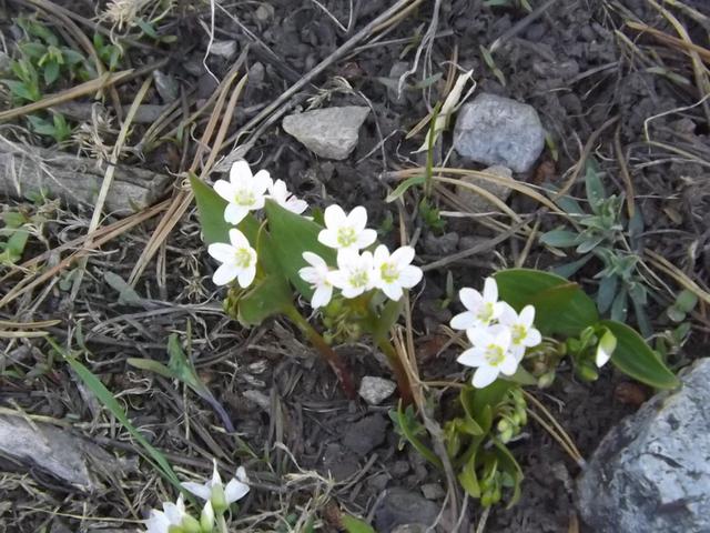 DSCF0337.JPG