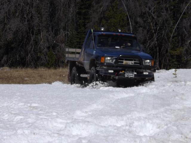 DSCF0345.JPG