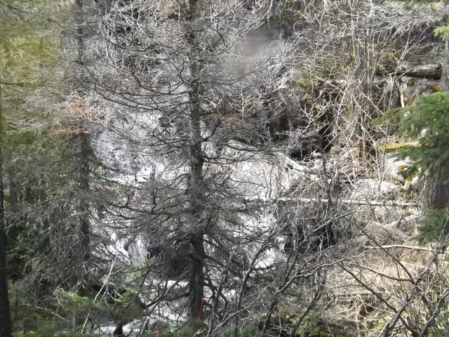 DSCF0310.JPG