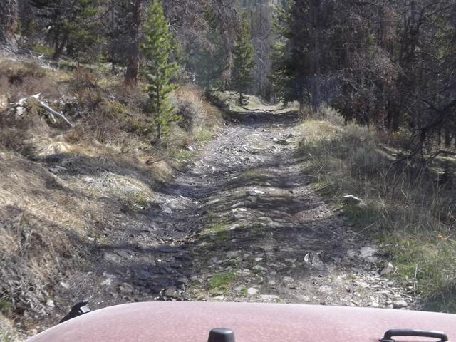 DSCF0434.JPG