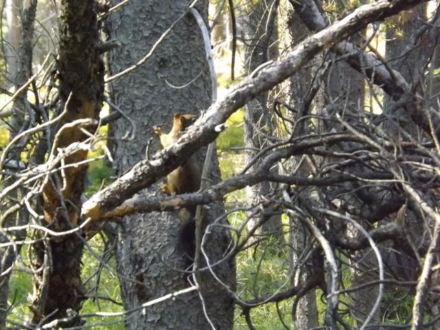 DSCF1214.JPG