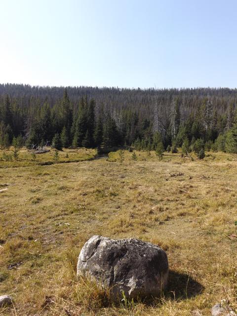 DSCF1217.JPG