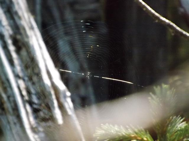 DSCF1221.JPG
