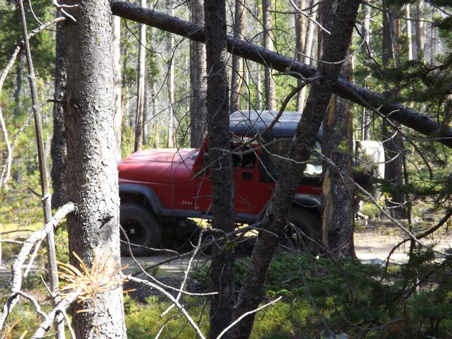 DSCF1223.JPG