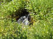DSCF1255.JPG