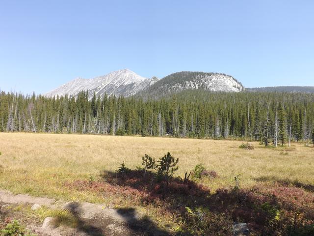 DSCF1286.JPG