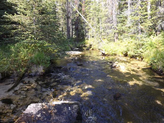 DSCF1287.JPG