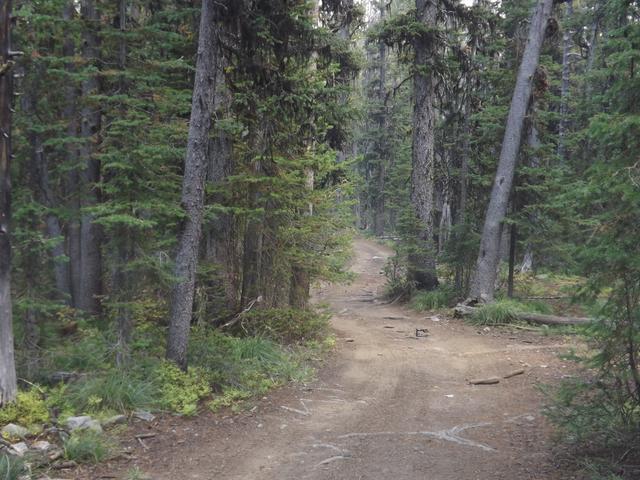 DSCF1368.JPG