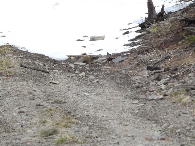DSCF0533.JPG