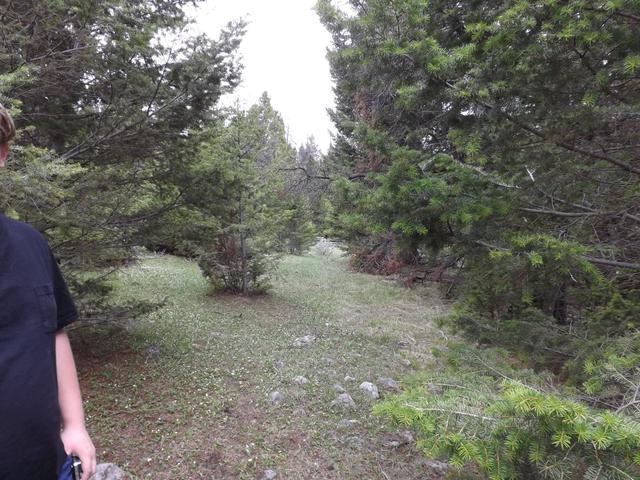 DSCF0537.JPG