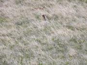 DSCF0544.JPG