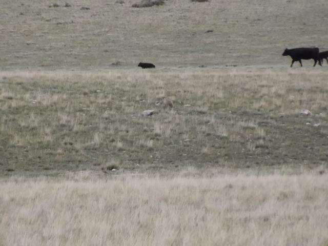 DSCF0545.JPG