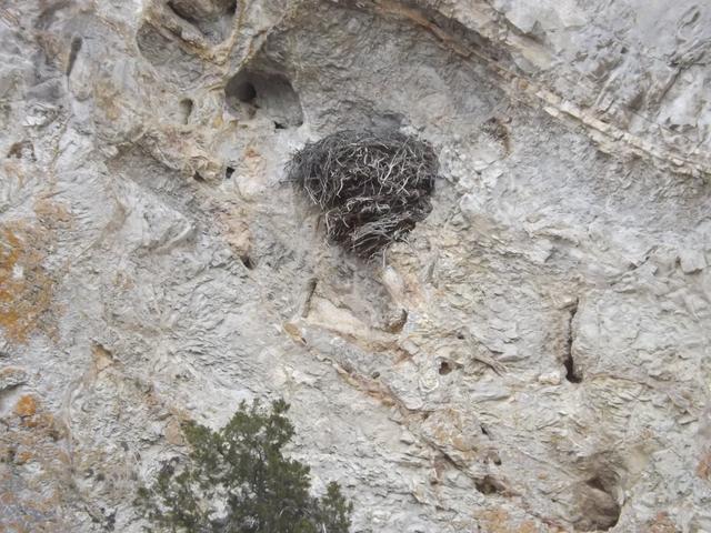 DSCF2293.JPG