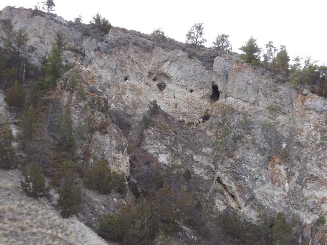 DSCF2294.JPG