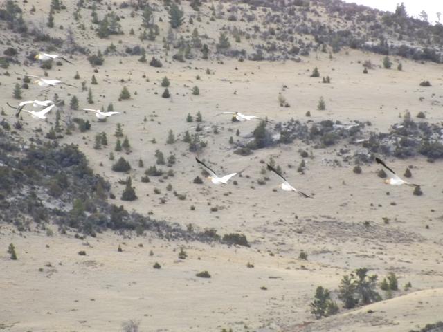 DSCF2311.JPG
