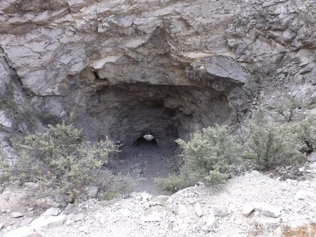 DSCF2319.JPG