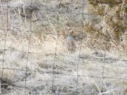 DSCF2326.JPG