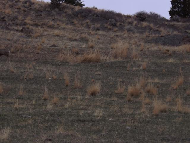 DSCF2344.JPG