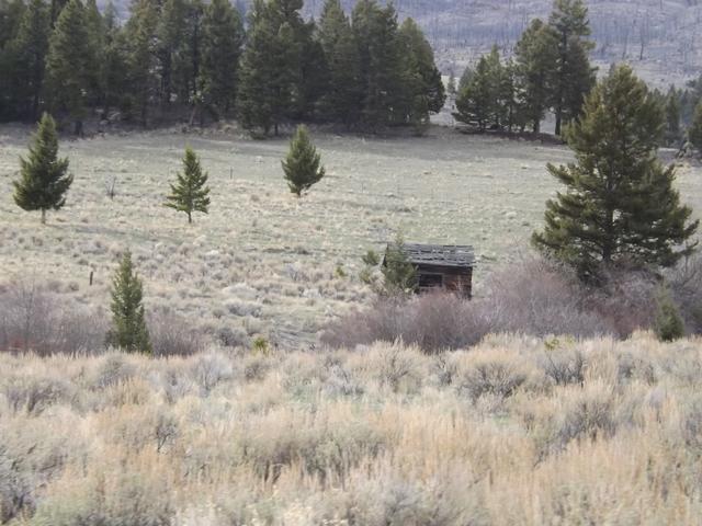 DSCF2409.JPG