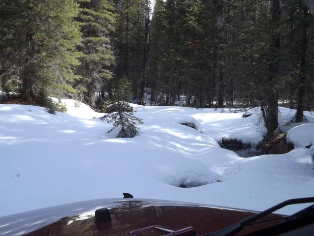 DSCF2433.JPG