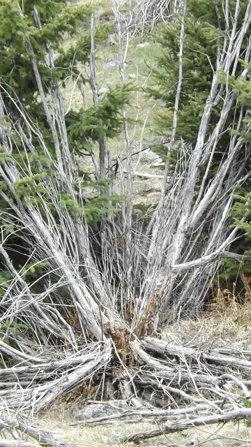 DSCF2584.JPG