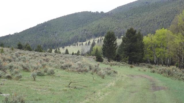 DSCF2700.JPG