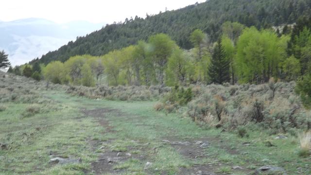 DSCF2703.JPG