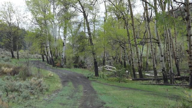 DSCF2704.JPG
