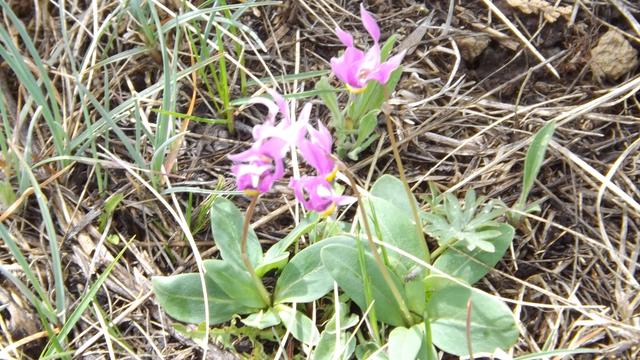 DSCF2753.JPG