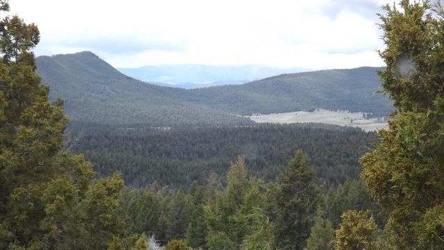 DSCF2754.JPG