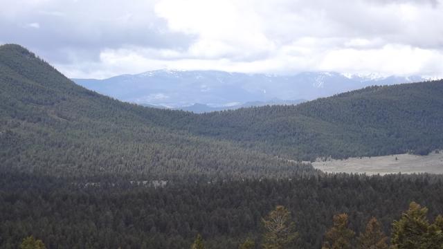 DSCF2758.JPG