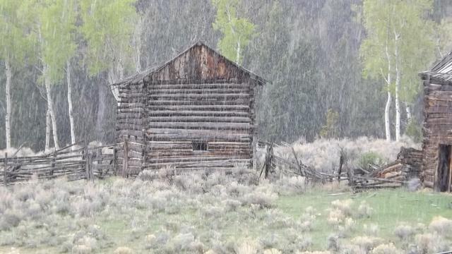 DSCF2836.JPG