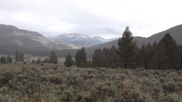 DSCF2838.JPG