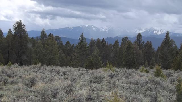 DSCF2839.JPG