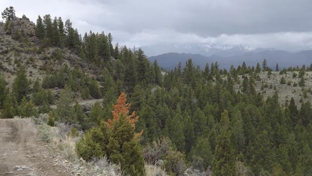 DSCF2850.JPG