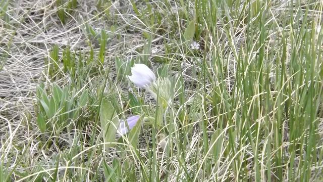 DSCF2879.JPG