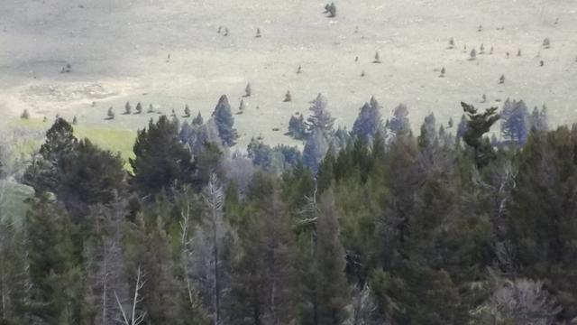 DSCF2881.JPG