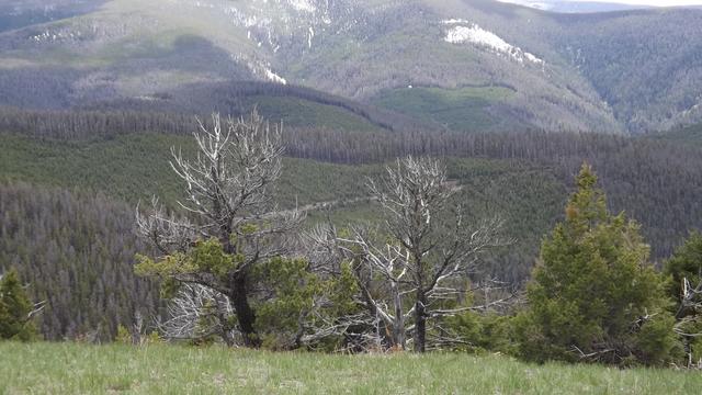 DSCF2890.JPG