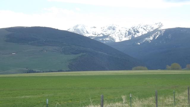 DSCF2939.JPG