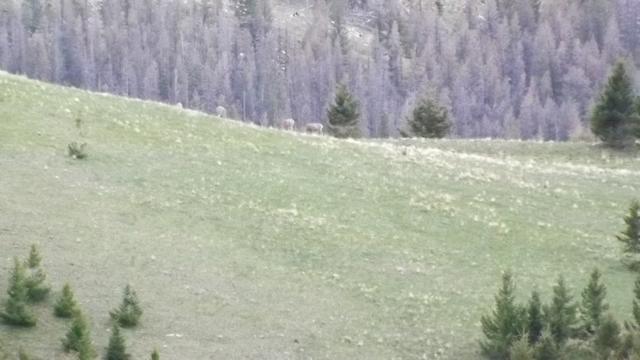DSCF2947.JPG