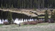 DSCF2953.JPG