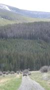 DSCF2954.JPG