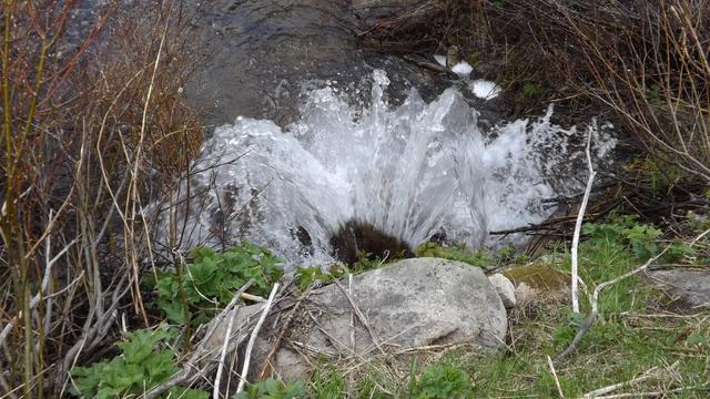 DSCF2960.JPG