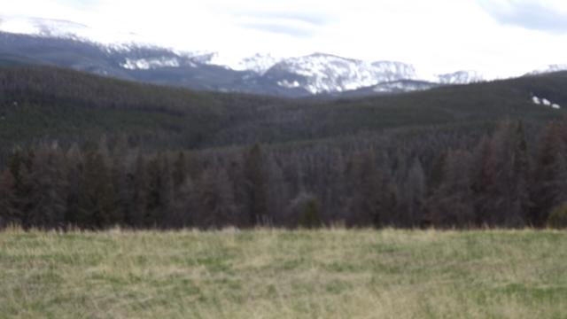 DSCF2973.JPG