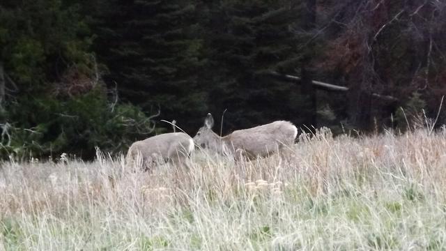 DSCF2977.JPG