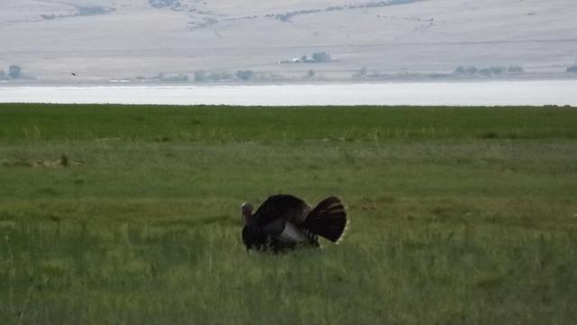 DSCF3009.JPG
