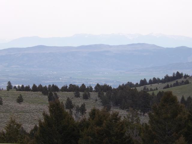 DSCF3029.JPG